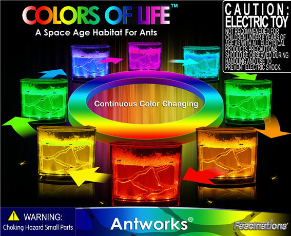 colors of life gift box - front panel rev  #1 small